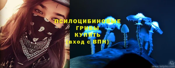 бошки Верея