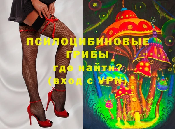 бошки Верея