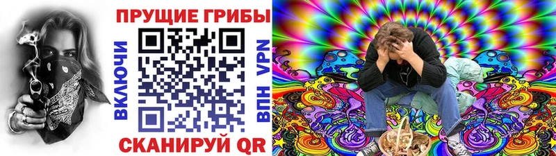 Псилоцибиновые грибы GOLDEN TEACHER  мориарти наркотические препараты  Липки 